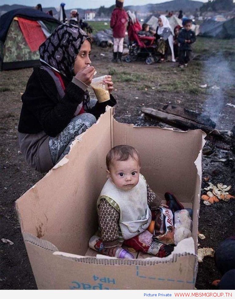 mbsmgroup.tnشد-دارك-بالتونسي