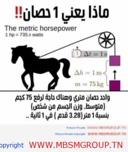 ماذا يعني 1 حصان