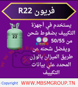 R22