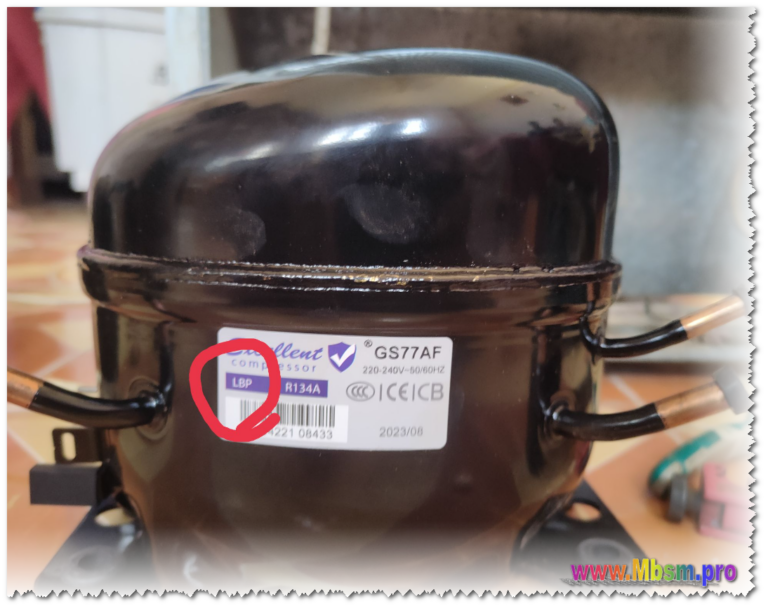 Mbsmgroup_Tunisie_Private_Pictures_Mbsm_picture_2024-10-15_224132