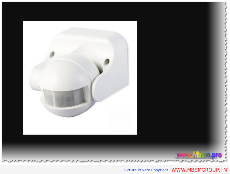 Mbsm-tn-private-media_Detecteur de mouvement