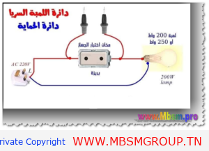 دائرة السريا