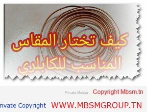 capillary