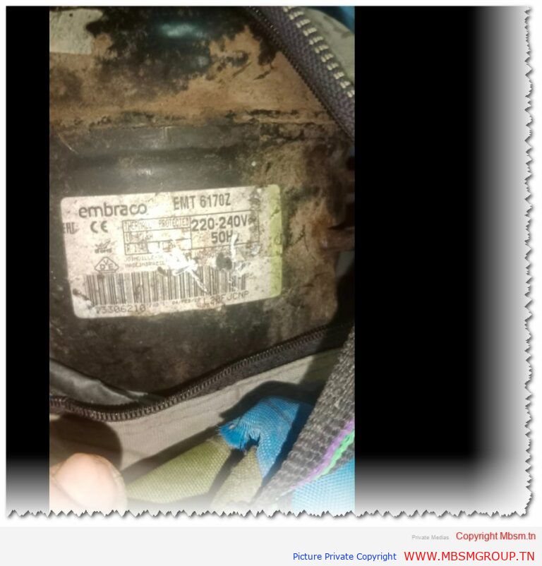 Mbsm-tn-private-media_2024-12-02_003238