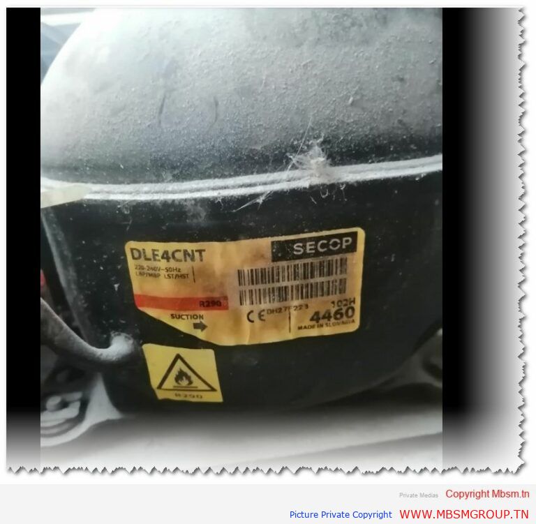 Mbsm-tn-private-media_2024-12-02_172740