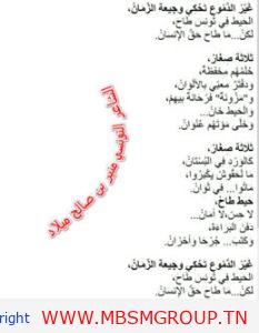 طاح الحيط .. قصيدة للشاعر التونسي منير بن صالح ميلاد